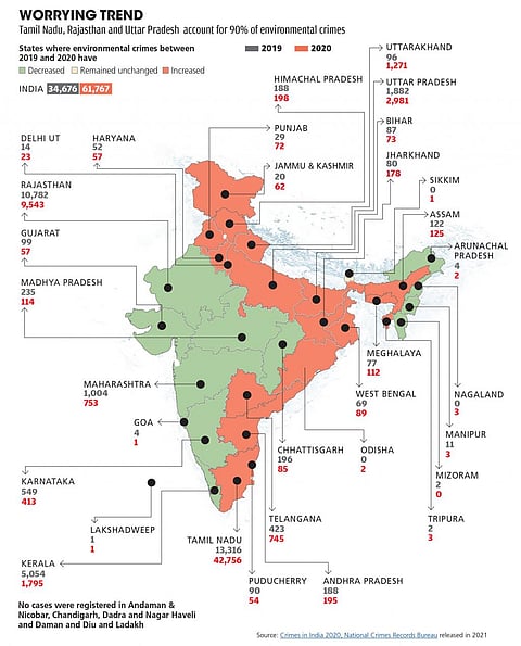 Why environmental crimes are rising in India