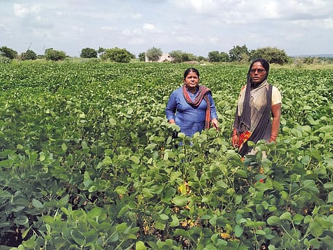 Social activist Manisha Tokle (right) with Vandana Khandel of Dhodka Rajuri village who has reclaimed 0.2 hectares to grow nutritious crops for her family