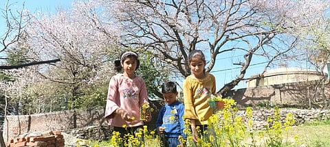 Phool Dei: Uttarakhand's festival of flowers to teach kids environmental conservation