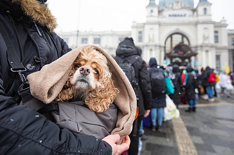 UN to boost humanitarian aid for Ukraine, form global crisis response group