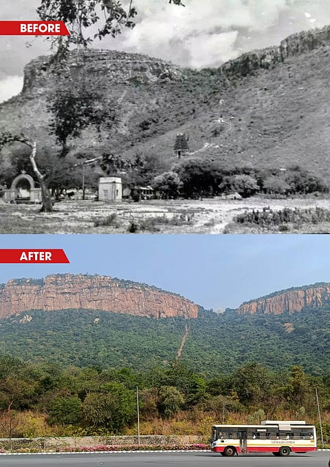 The denuded Tirupati-Tirumala Hills in the 1980s (top) and after four decades of eco-restoration (bottom). Botton photo by R Sreenivasa Murthy