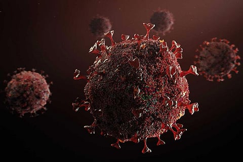 New sublineages of Omicron’s BA.2 detected in India: How the virus has evolved over time 