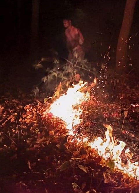 Carelessness, lack of prompt action behind regular forest fires in Purulia