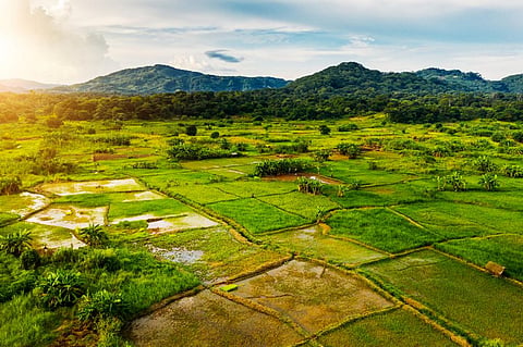 Agriculture is linked with malaria in complex ways: evidence from 16 African countries