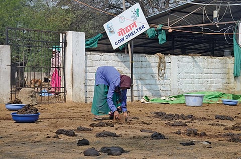 छत्तीसगढ़ के रायपुर में फुंडहर स्थित गोठान में गोबर बटोरने का काम करती स्वयं सहायता समूह की सदस्य  (फोटो : सीएसई)