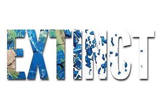 Good while it lasted: The DTE cover story on 6th mass extinction 