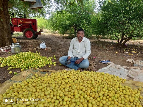 Excess rainfall in Nov-Dec, early heat: Why lime production was hit in Andhra, India's largest producer