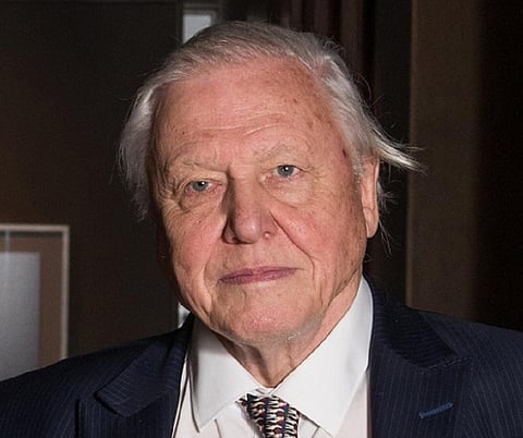 Sir David Attenborough. Photo by John Cairns via Wikimedia Commons