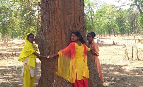 हसदेव अरण्य में पेड़ों को कटने से बचाने का प्रयास करती स्थानीय आदिवासी युवतियां। फोटो: ट्विटर @SHasdeo