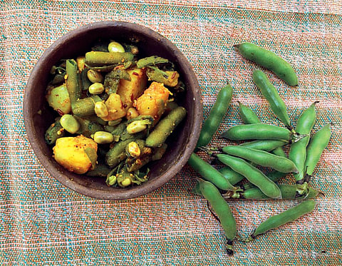 Faba bean can be prepared and eaten as a green vegetable or as a pulse (Photograph: Vibha Varshney)