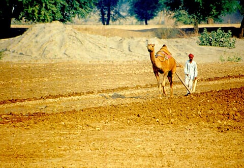 Monsoon 2022: Agriculture sector shed nearly 8 million jobs in June
