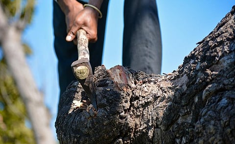 Photo: iStock