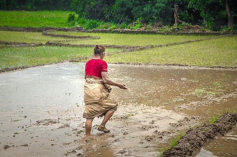CSE report flags poor state of organic fertilisers, biofertilisers sector in India