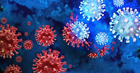 Global warming: Africa, Asia most at risk of zoonotic spillovers