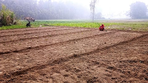 How nutrient-deficient are Indian soils? 