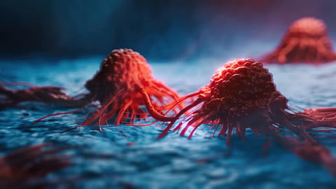 Human Cell Atlas: Scientists map more than a million human cells to understand disease genesis, maturity