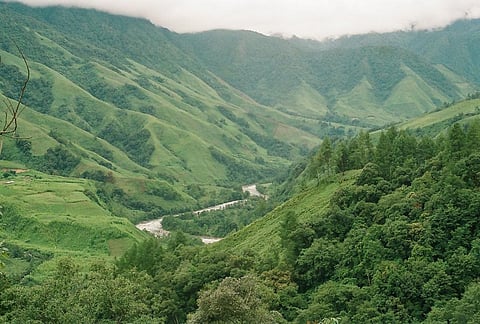 Etalin hydel: Experts warn of biodiversity loss in Dibang Valley in letter to forest advisory panel