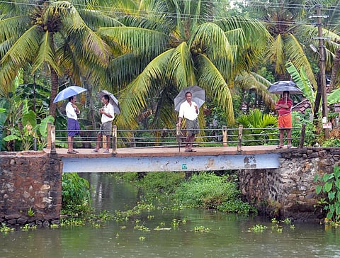 Why the new ‘normal’ for rainfall calculation may be problematic for India‘s farmers