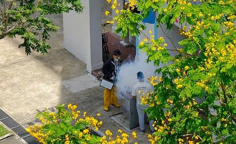 Personnel of Singapore’s National Environment Agency carry out thermal fogging fumigation of a rubbish chute in March 2021. Photo: iStock