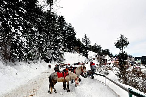 बढ़ते पर्यटन के चलते हिमालयी इकोसिस्टम पर बढ़ रहा है दबाव: रिपोर्ट