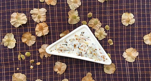 Indian elm or chilbil seeds can not only be served as a healthy snack, they are also a promising source of edible oil   (Photograph: Vibha Varshney)