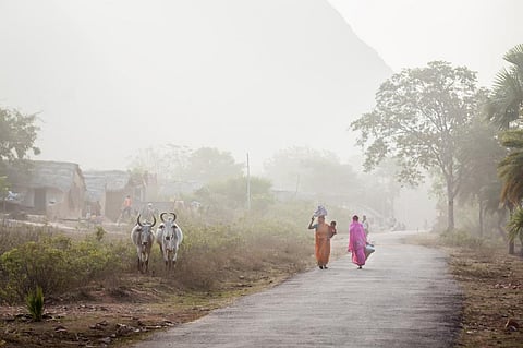 Dense fog episodes twice more frequent in Bihar, Uttar Pradesh than Delhi-NCR: Study