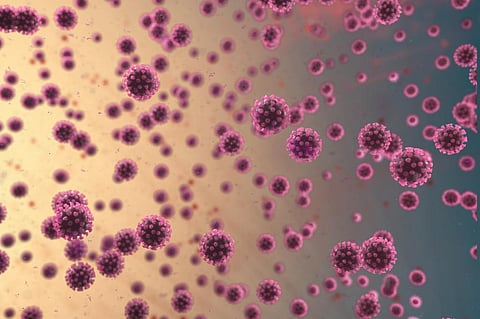 Microplastics help viruses survive longer in water, remain infectious: Study 