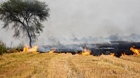 Environment Performance Index: Yale counters India’s claim that report was based on unscientific methods
