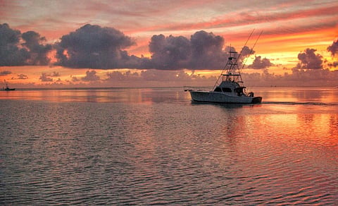 UN ocean conference: 'Blue Deal' to enable sustainable use of ocean resources for economic development