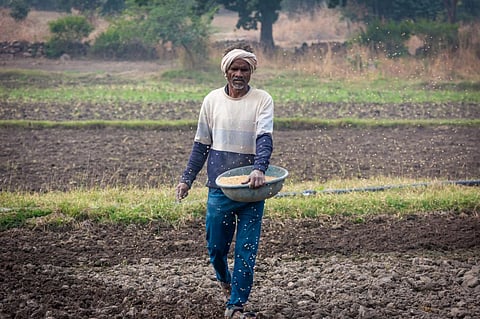 High fertiliser prices shock farmers even as ministry denies shortage reports