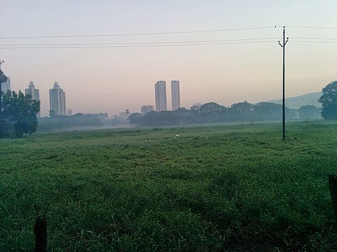 Revisiting 2019 Aarey forest study: Why Metro project is a threat to biodiversity park