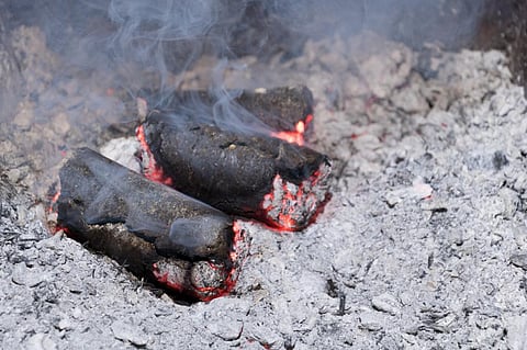 Green fuel targets for NCR industries: Here are some learning points from Alwar, Bhiwadi