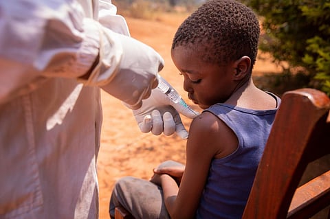 Africa witnesses 63% increase in number of zoonotic outbreaks in a decade