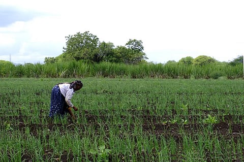 Govt says farmers' incomes more than doubled; but doesn't give any number