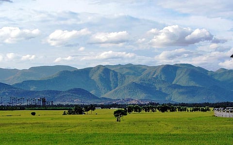 Why Karnataka politicians are wrong in opposing Western Ghats ESA