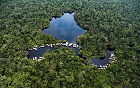 Stay away from Congo’s ‘carbon bomb’ auction, Greenpeace urges Big Oil 