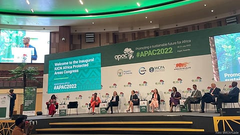 Urgent measures needed for sustainable conservation, funding in Africa: Experts