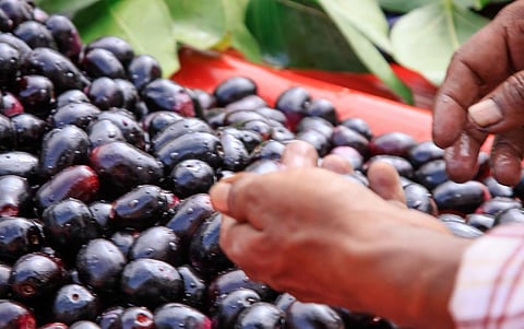 Photo: iStock