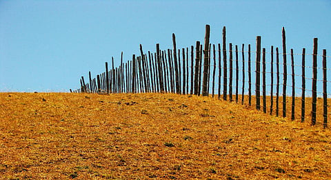 Megadrought in Chile: Both natural climate factors, human-induced global warming to blame