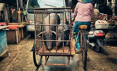 Photo: iStock