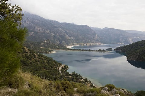 Severe heatwave in Mediterranean Sea for 70 days, mass mortalities in marine life expected 