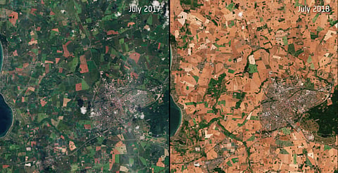 After a severe drought in 2018, Denmark saw desert-like conditions. Photo: Jose Gruenzweig/European Space Agency