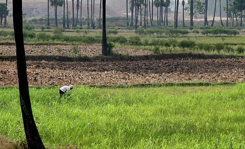 A farmer works his fields in Andhra Pradesh. Photo: iStock