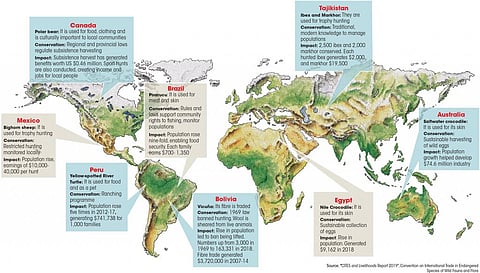 Source: "CITES and Livelihoods Report 2019", Convention on International Trade in Endangered
Species of Wild Fauna and Flora