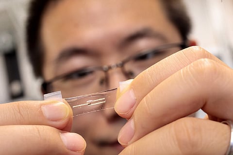 The wearable neuromorphic chip, made of stretchy semiconductors, can implement artificial intelligence (AI) to process massive amounts of health information in real time. Photo John Zick / EurekAlert!