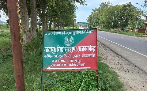 गोरखपुर में गिद्धों के संरक्षण के लिए एक केंद्र बनाया जा रहा है। फोटो: सतेंद्र सार्थक