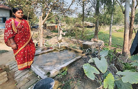 A raised leach pit with a silt chamber in a flood zone, Srighar village, Udhwa block, Sahibganj district (Swati Bhatia, CSE)