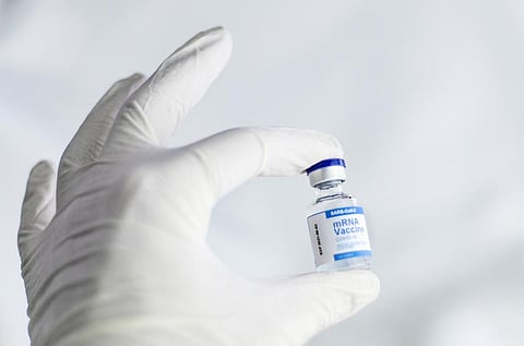 The new vaccine seems better in theory, say experts, as it is derived from the earlier COVID strain and the mutated version. Photo for representation: Wikimedia Commons