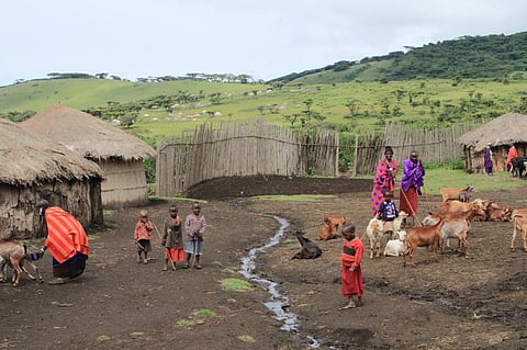 Ruto government has its work cut out: Kenya’s development challenges new President must address