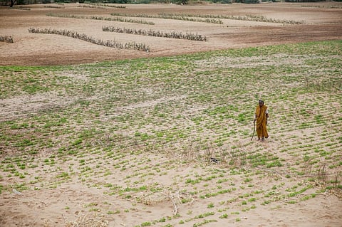 Nearly 600 farmer suicides in 8 months: Is Marathwada facing agri-distress